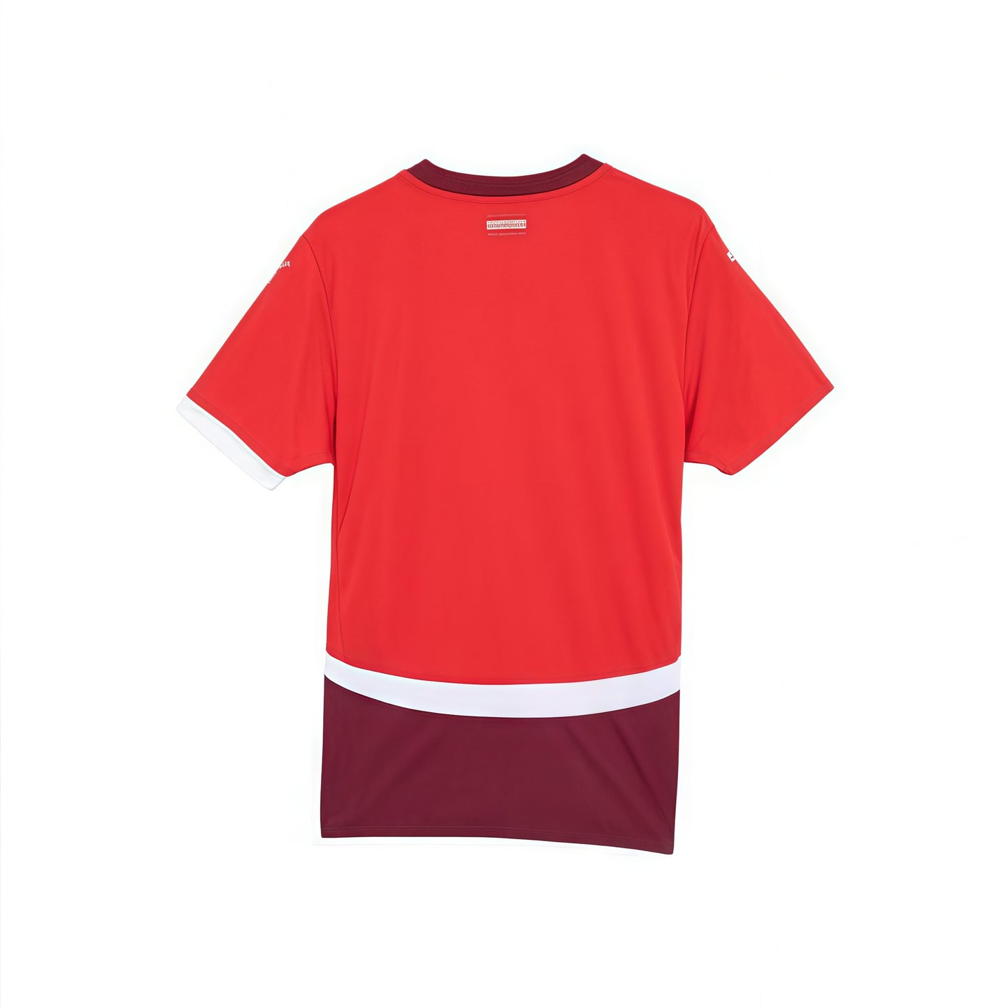 2024/2025 Switzerland Home Shirt