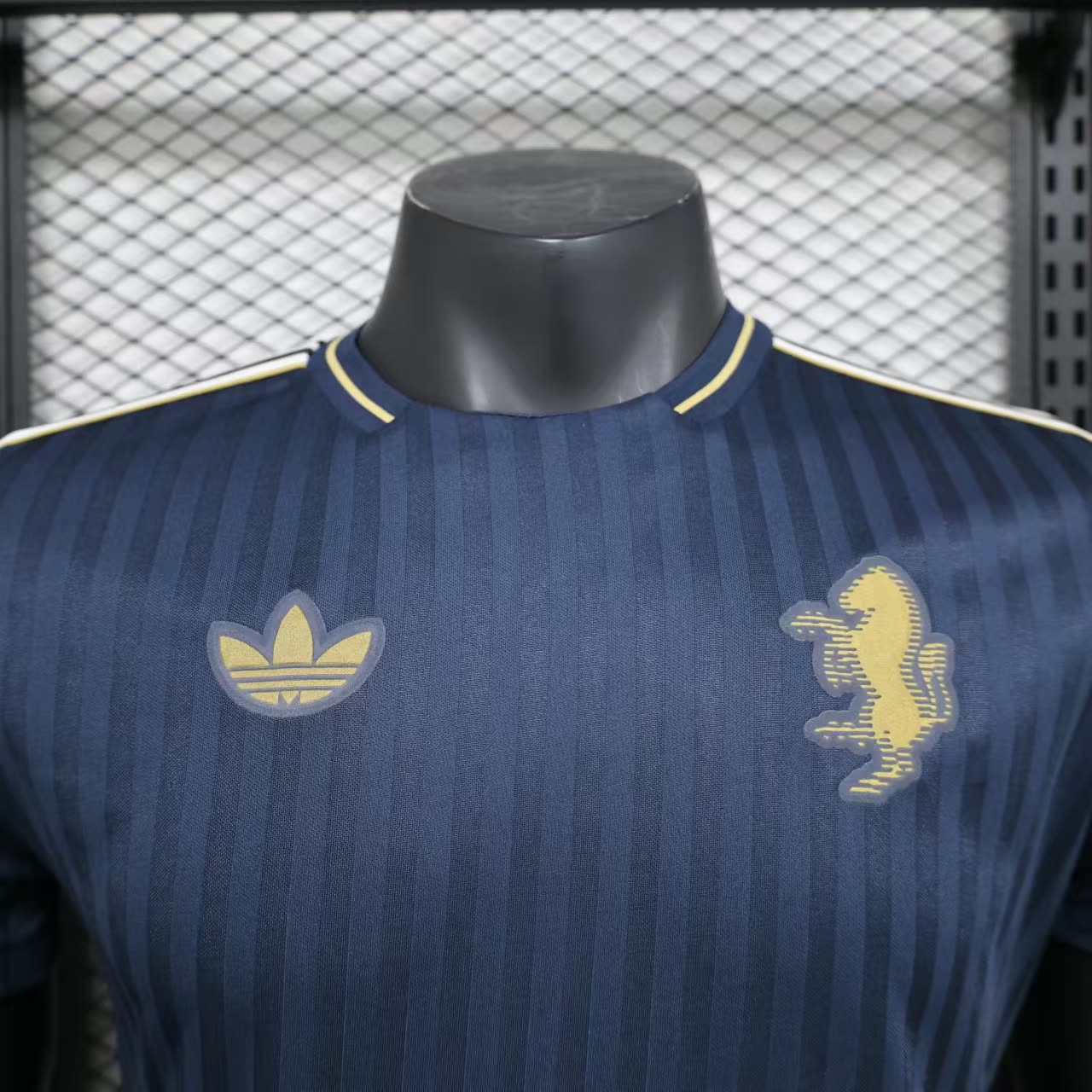 2025/2026 Juventus Special Edition（Player）